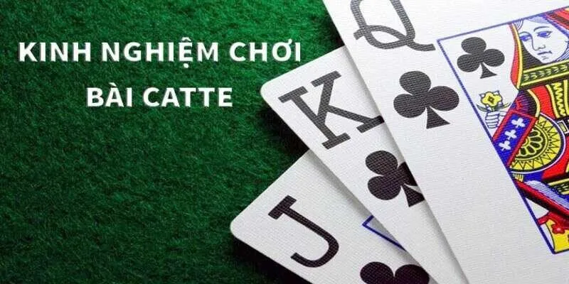 Bí quyết làm chủ Catte Socvip đỉnh cao