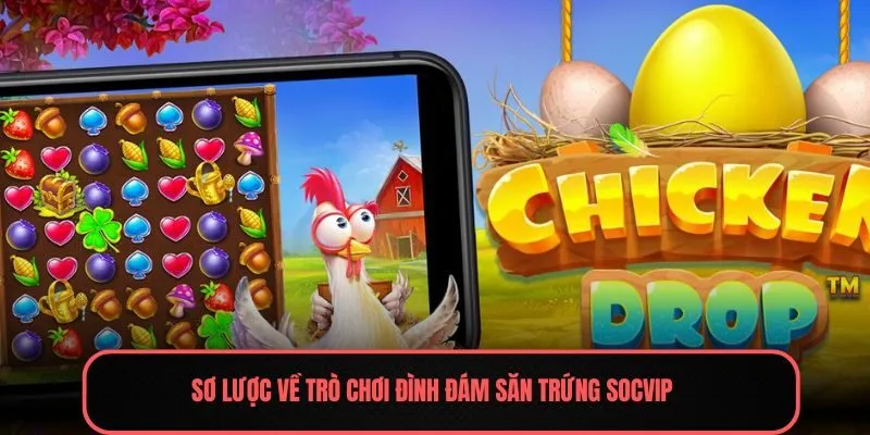 Sơ lược về trò chơi đình đám săn trứng Socvip